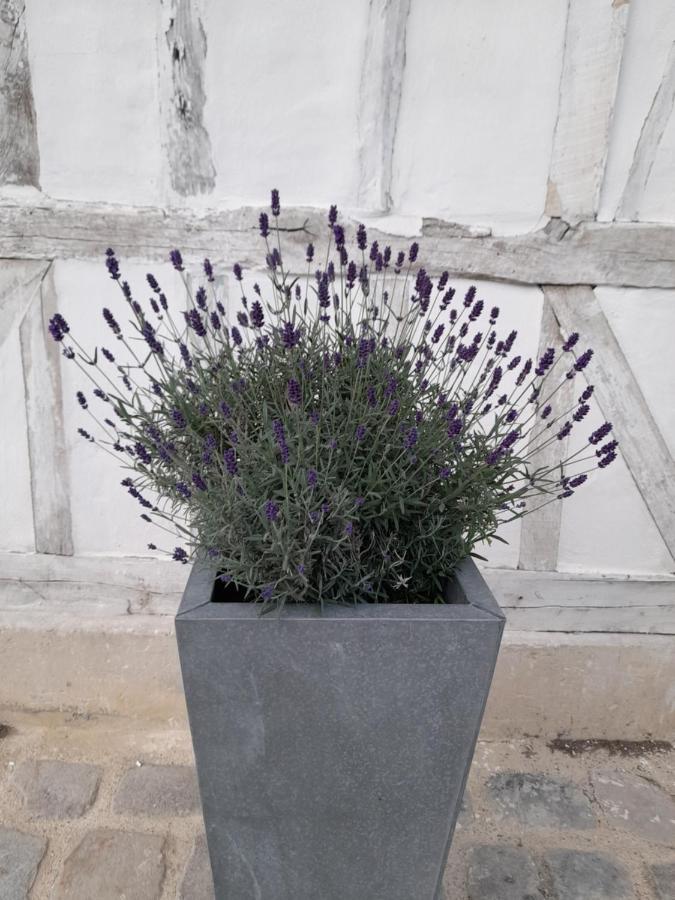 Le Clos De L Agneau Saint-Amand-sur-Fion Extérieur photo